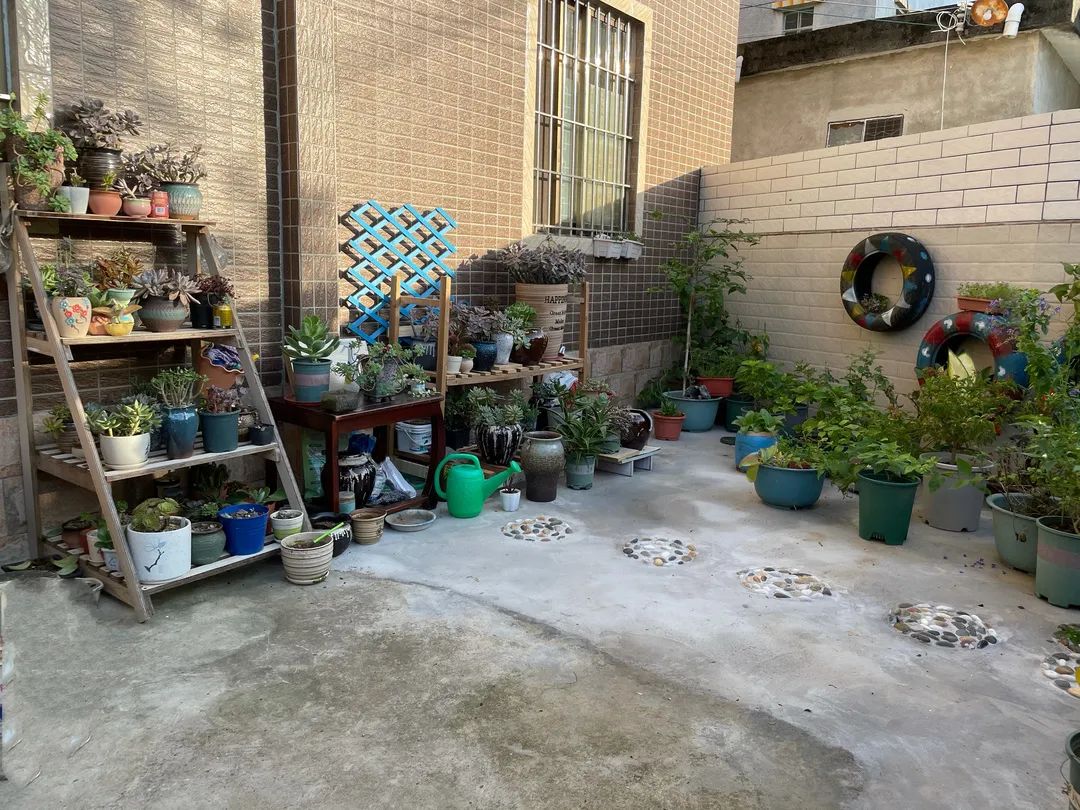喜讯！台山2户家庭获评江门市“最美庭院（阳台）”-美家-台山市妇联