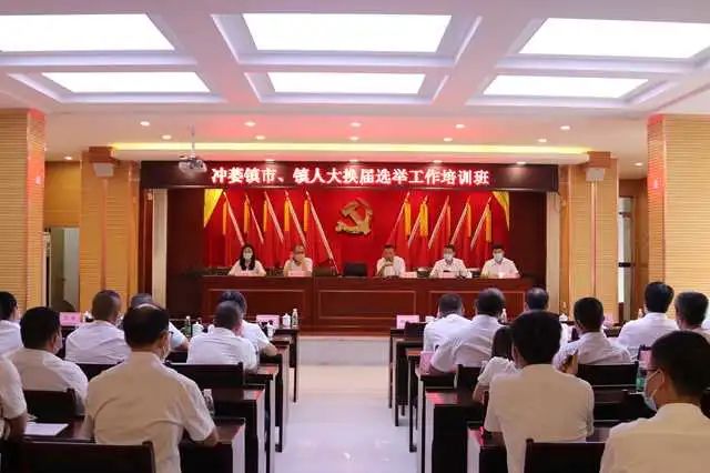 冲蒌镇多措并举,扎实做好人大换届选举宣传工作-台山市人大常委会