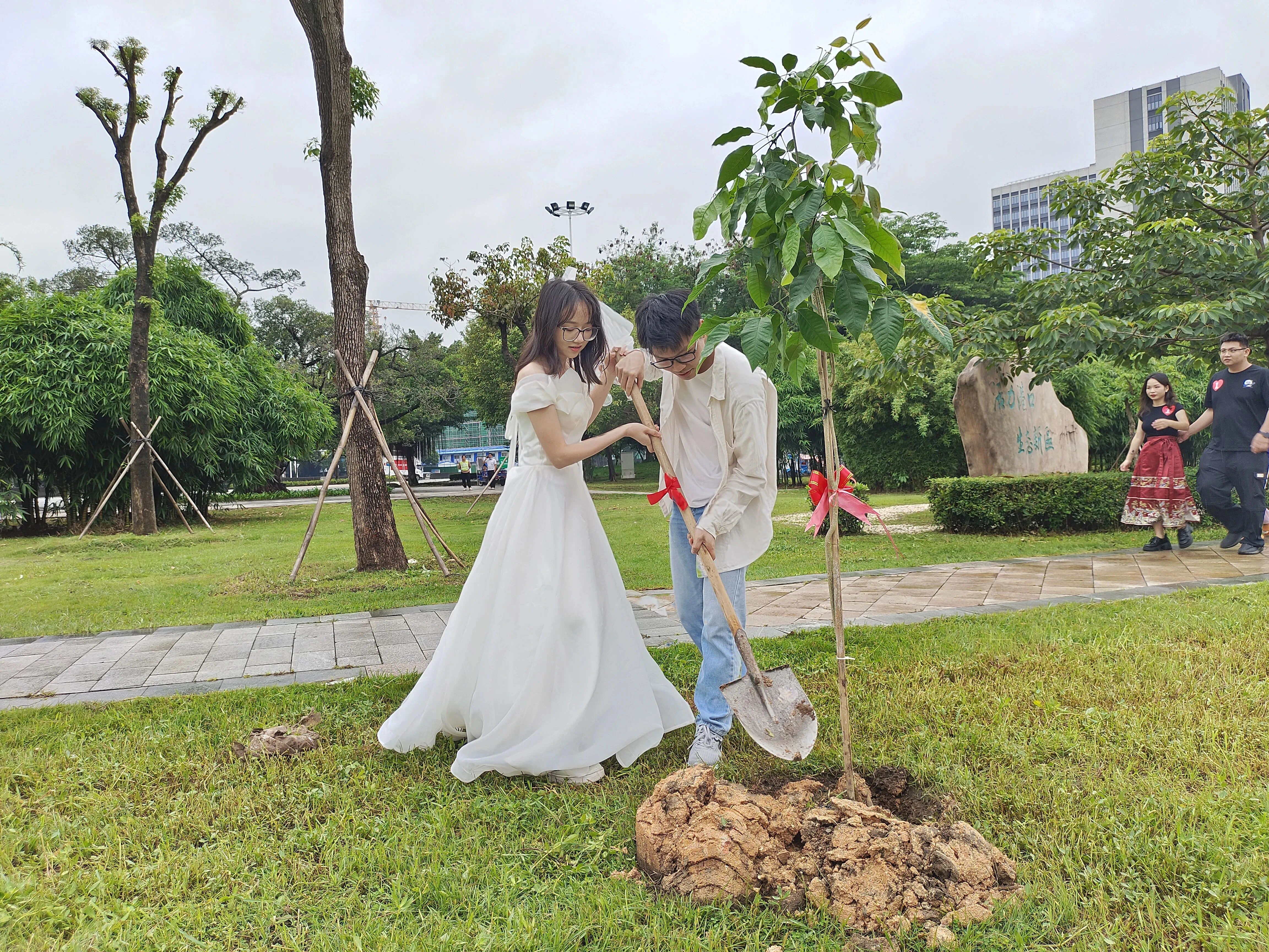 广东深化婚俗改革，倡导婚事新办，号召“有喜事来种树”，图为新人共种“爱情树”。