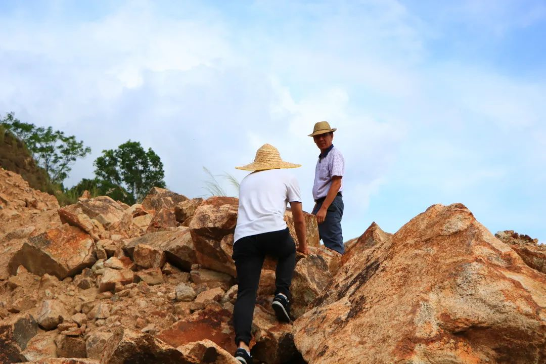 1661260534845555.png image.png