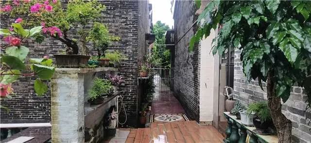 1671508761460278.jpg 3.jpg