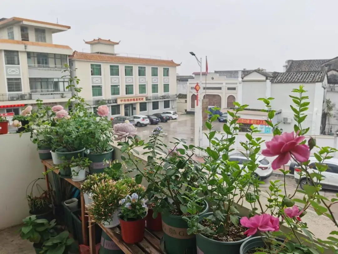 1698887727719226.png 图片16.png