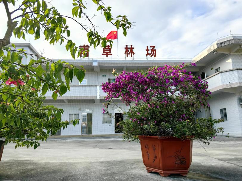 1707268356108336.png 图片6.png