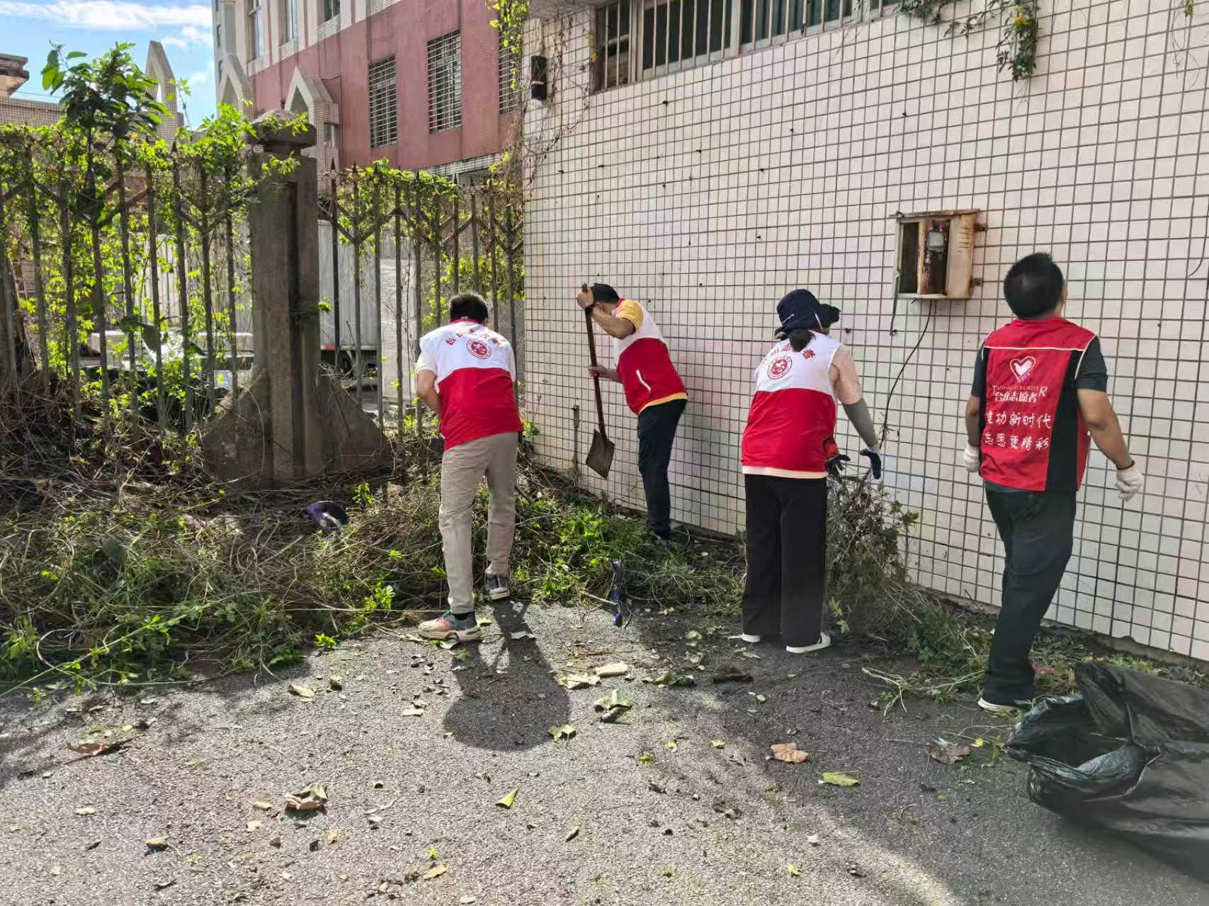 清理植被.jpg